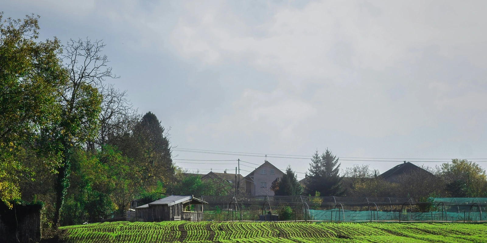 BUT Réseaux et Télécommunications : Innovations et Défis