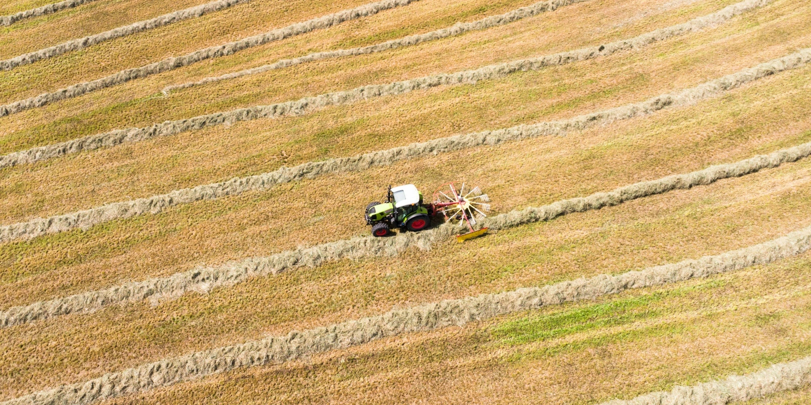 Formation en Télécommunication : Demande et Potentiel
