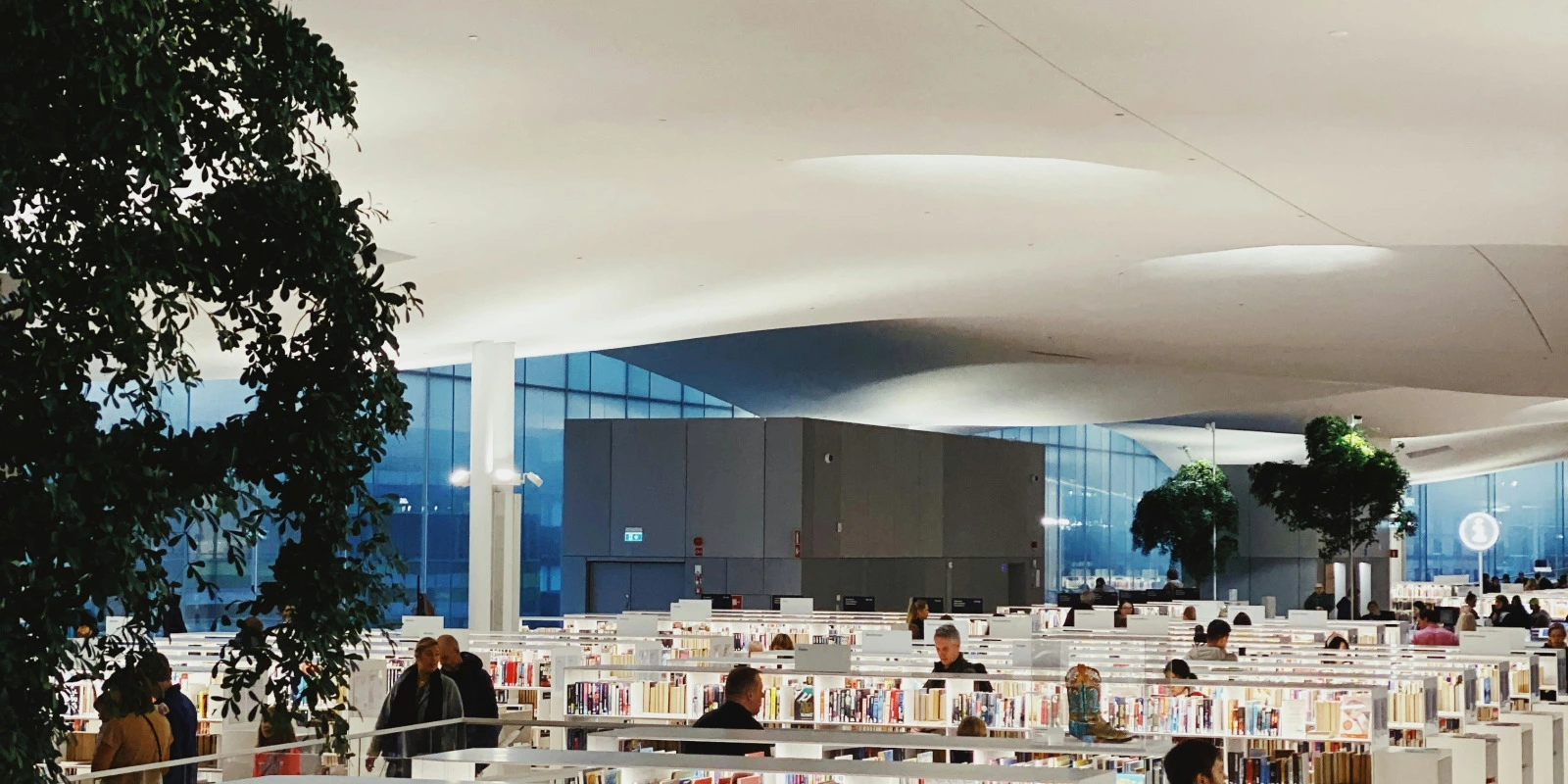 Métiers des Télécommunications : Quelles Options ?