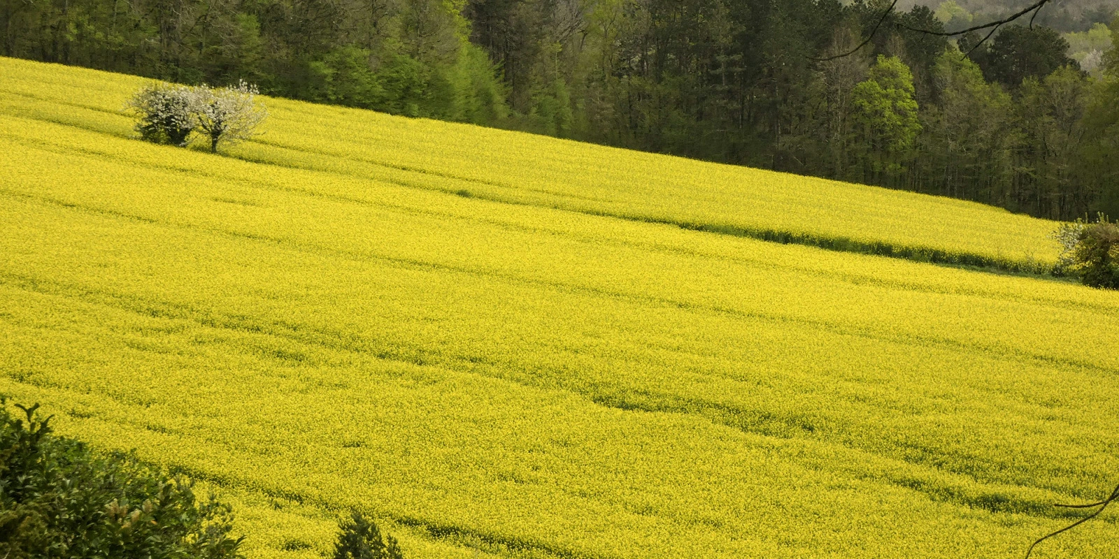 Technologie Réseau : Les Innovation Récentes